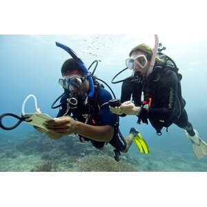 PADI Advanced Open Water Diver(AOWD)