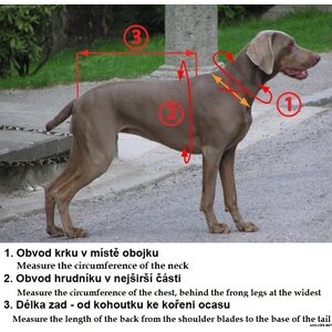 Zero DC Faster -harness