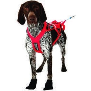 Non-stop Dogwear Solid Booties, 2 pcs