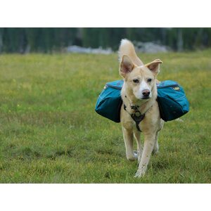 Ruffwear Approach Pack