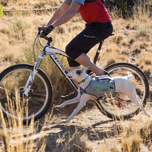 Ruffwear Singletrak Pack