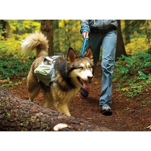 Ruffwear Singletrak Pack