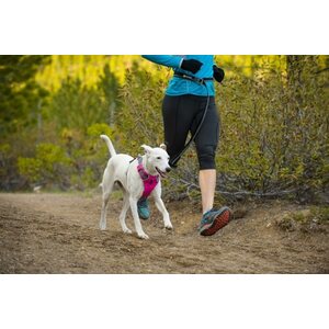Ruffwear Roamer Leash (metallikoukulla)