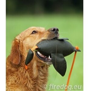 Firedog Duck dummy