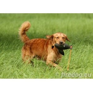 Firedog Duck dummy