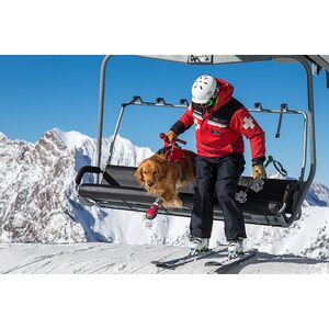 Ruffwear Web Master Pro Harness