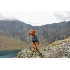 Ruffwear Powder Hound