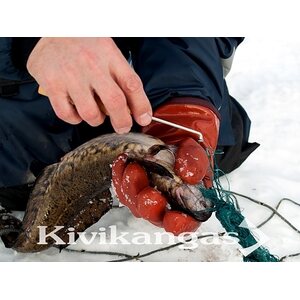 Ahti Kalanaskali