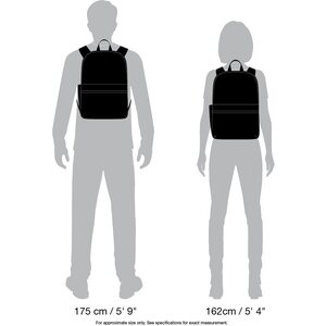 Pacsafe Pouchsafe PX15