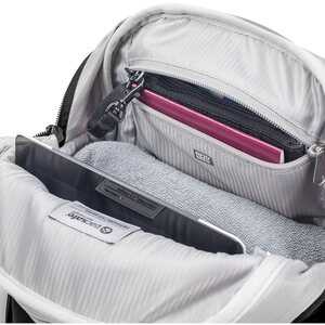 Pacsafe Metrosafe LS250