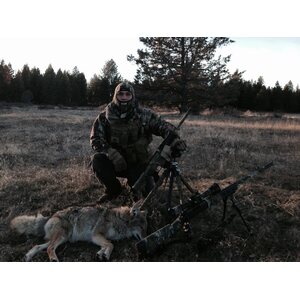 Hog Saddle PIG Saddle  (OD Green color)