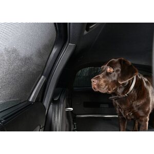 Car Shades UV Shade