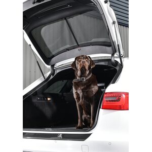 Car Shades UV Shade