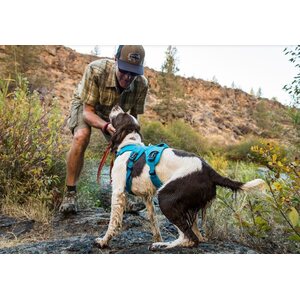 Ruffwear Web Master Harness