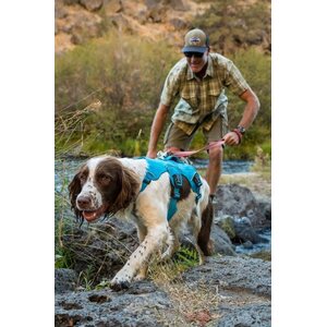 Ruffwear Web Master Harness