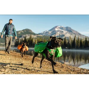 Ruffwear Approach Pack (2021)