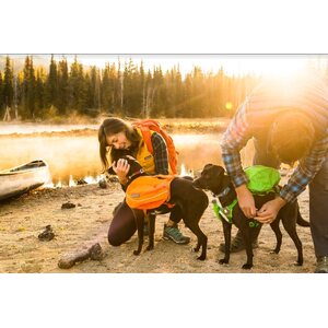Ruffwear Approach Pack (2021)