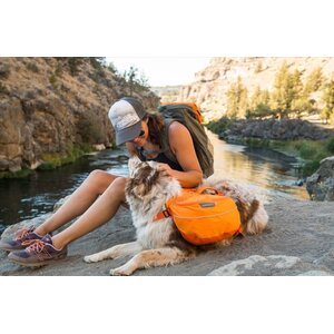Ruffwear Approach Pack (2021)