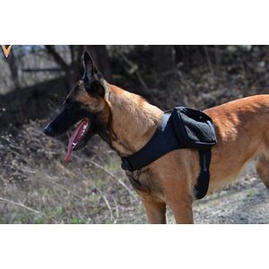 Velocity Systems Patrol Harness