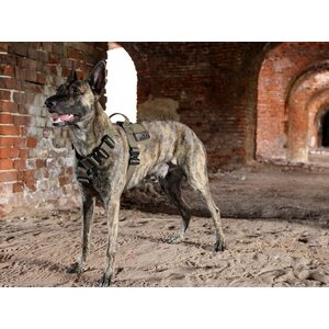 K9 Thorn Harness Delta