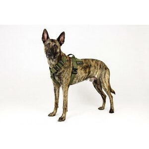 K9 Thorn Harness Delta
