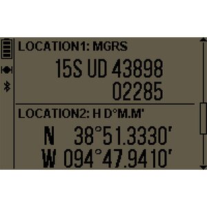Garmin Foretrex 601