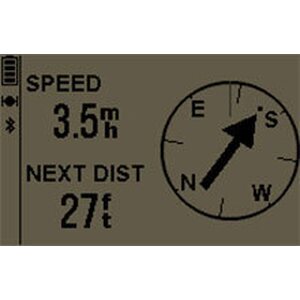 Garmin Foretrex 601