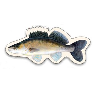 Sakke Yrjölä Zander magnet