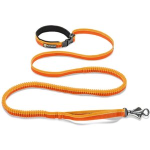 Ruffwear Roamer Leash