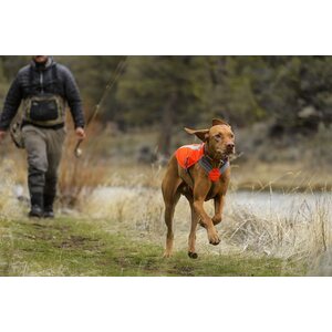 Ruffwear Track Jacket