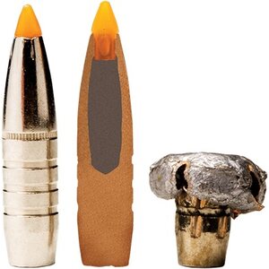 Federal .30-06 Sprg Trophy Bonded Tip 11,7g / 180grs 20