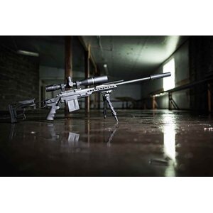 Accu-Tac LR-10 Spikes