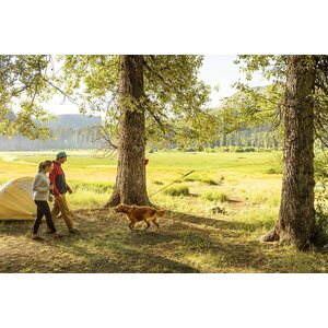Ruffwear Knot-a-Hitch Hitching System