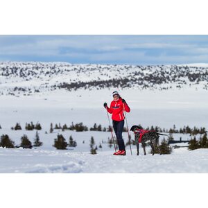 Non-stop Dogwear Comfort Belt