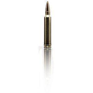 Sako .300 Win Mag TRG 11,3g / 175grs 10kpl