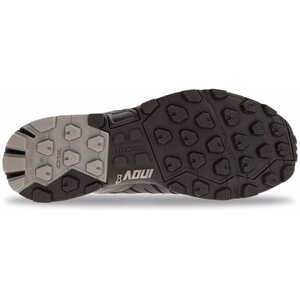 Inov-8 Roclite 325 GTX Men