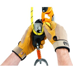 Petzl Rig