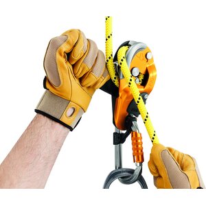 Petzl Rig