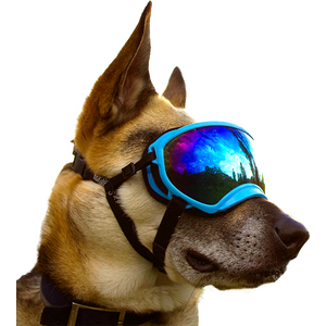 Rex Specs Dog Goggle - Neon Pink
