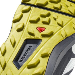 Salomon Sense Ride 2