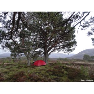 Hilleberg Niak