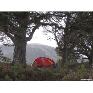 Hilleberg Niak
