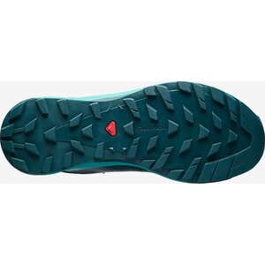 Salomon X Alpine Womens Pro