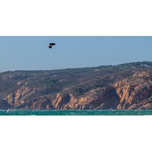 Ozone Edge V10 Kite Only 9m²