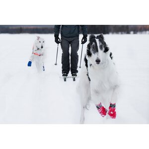 Non-stop Dogwear Long distance Bootie, 4 kpl