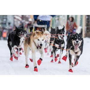 Non-stop Dogwear Long distance Bootie, 4 kpl