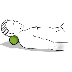 Blackroll Duo-Ball Roller