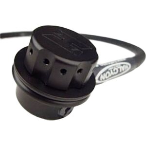 P-Valve