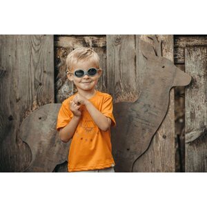Julbo Loop L SP4 Dark Grey / Orange