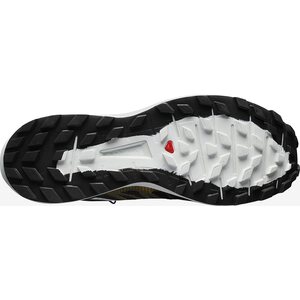 Salomon Sense Ride 3 LTD Edition
